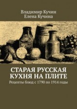читать Старая русская кухня на плите. Рецепты блюд с 1790 по 1914 годы