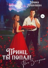 читать Принц, ты попал! Твоя Золушка