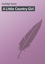 читать A Little Country Girl