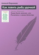 читать Как ловить рыбу удочкой