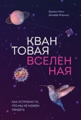 читать Квантовая вселенная. Как устроено то, что мы не можем увидеть