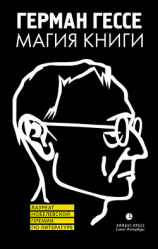 читать Магия книги. Эссе о литературе