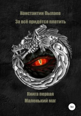 читать За всё придется платить. Книга первая. Маленький маг