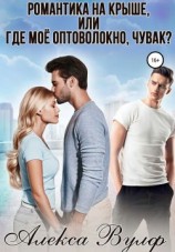 читать Романтика на крыше, или Где мое оптоволокно, чувак?