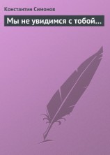 читать Мы не увидимся с тобой…