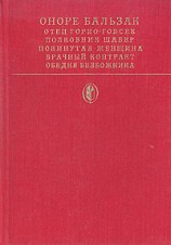 читать Полковник Шабер