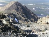 читать Роковое число
