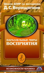читать Параллельные миры восприятия. Школа ДЭИР по методикам Д. С. Верищагина