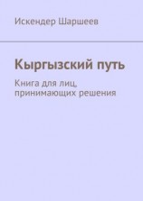 читать Кыргызский путь. Книга для лиц, принимающих решения