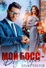 читать Мой босс - Дед Мороз