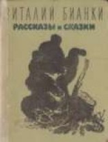 читать Рассказы и сказки с иллюстрациями