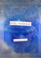 читать Noël magique. Journal des voeux