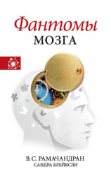 читать Фантомы мозга
