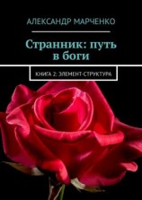 читать Странник: путь в боги. Книга 2: элемент-структура