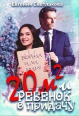 читать Двадцать квадратов и ребенок в придачу!