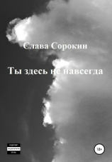 читать Ты здесь не навсегда