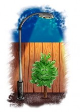 читать Необыкновенная история