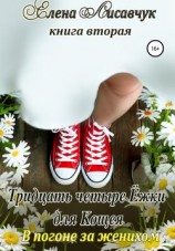 читать Тридцать четыре ёжки для Кощея. Книга вторая. В погоне за женихом