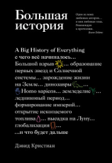 читать Большая история