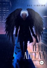 читать Тень ангела. Книга 1