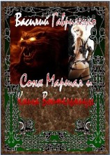 читать Соня Маршал и Книга Воительницы