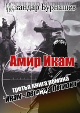 читать Амир Икам. Третья книга романа «Икам  легенда легиона»