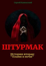 читать Штурмак. История вторая: «Пламя в ночи»