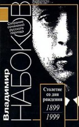 читать Встреча с В Сириным