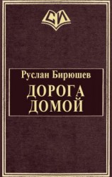 читать Дорога домой