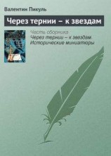 читать Через тернии – к звездам