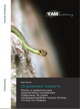 читать Огромная память