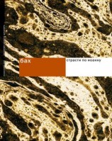 читать Бах. Страсти по Иоанну