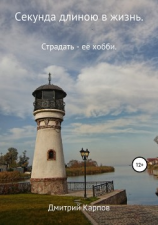 читать Секунда длиною в жизнь. Том 1