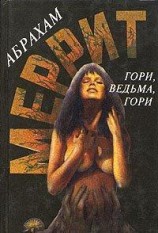 читать Гори, ведьма, гори!