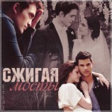 читать Сжигая мосты