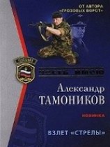 читать Взлет Стрелы