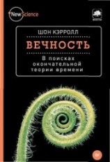 читать Вечность. В поисках окончательной теории времени