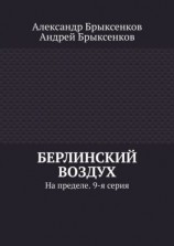 читать Берлинский воздух. На пределе. 9-я серия