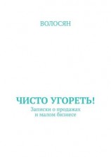 читать Чисто угореть! Записки о продажах и малом бизнесе