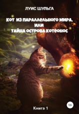 читать Кот из параллельного мира, или Тайна острова Котеонос