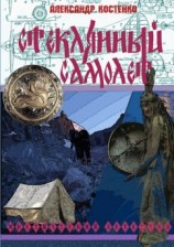 читать Стеклянный самолет