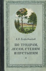 читать По тундрам, лесам, степям и пустыням