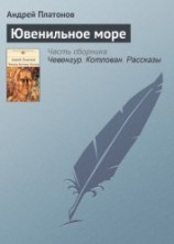 читать Ювенильное море