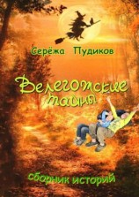 читать Велегожские тайны. Сборник историй
