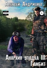 читать Анархия упадка 3. Гамбит