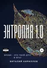 читать Энтропия 1.0