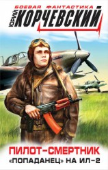 читать Пилот-смертник. «Попаданец» на Ил-2