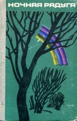читать Ночная радуга