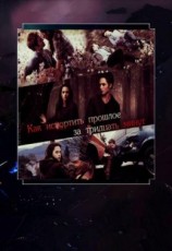 читать Как испортить прошлое за тридцать минут