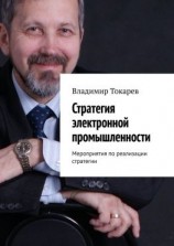 читать Стратегия электронной промышленности. Мероприятия по реализации стратегии